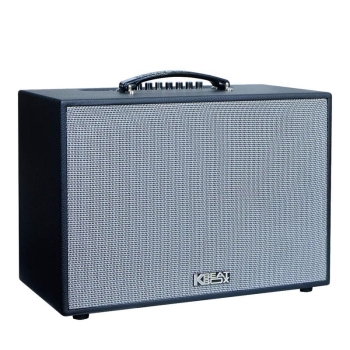 Loa Acnos CS251PU