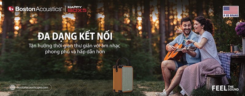 Loa Boston Acoustics H5 kết nối 