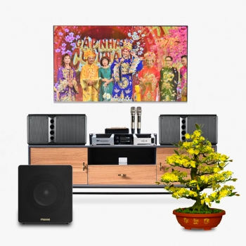 Dàn karaoke AT030 (Loa Wharfedale Pro 5090 + Loa P'Sound SUB-12AL + Đẩy MK Acoustic V2.4 + Micro Acnos Mi30)