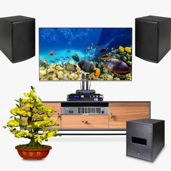 Dàn karaoke LA026 (Bộ loa SE M-F3 + Vang số JBL KX180A + Micro JBL VM300 + Quản lý nguồn Kiwi S803)