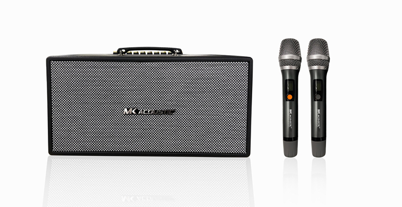 đặc điểm nổi bật của Loa MK 216D