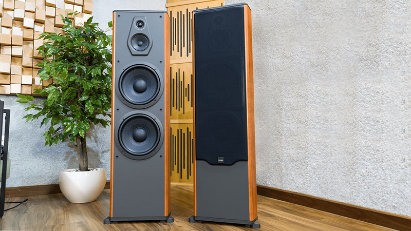 cấu tạo của Loa Paramax F2500