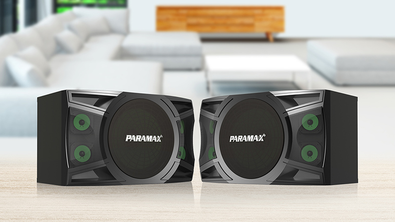 kết nối của loa karaoke Paramax P1000