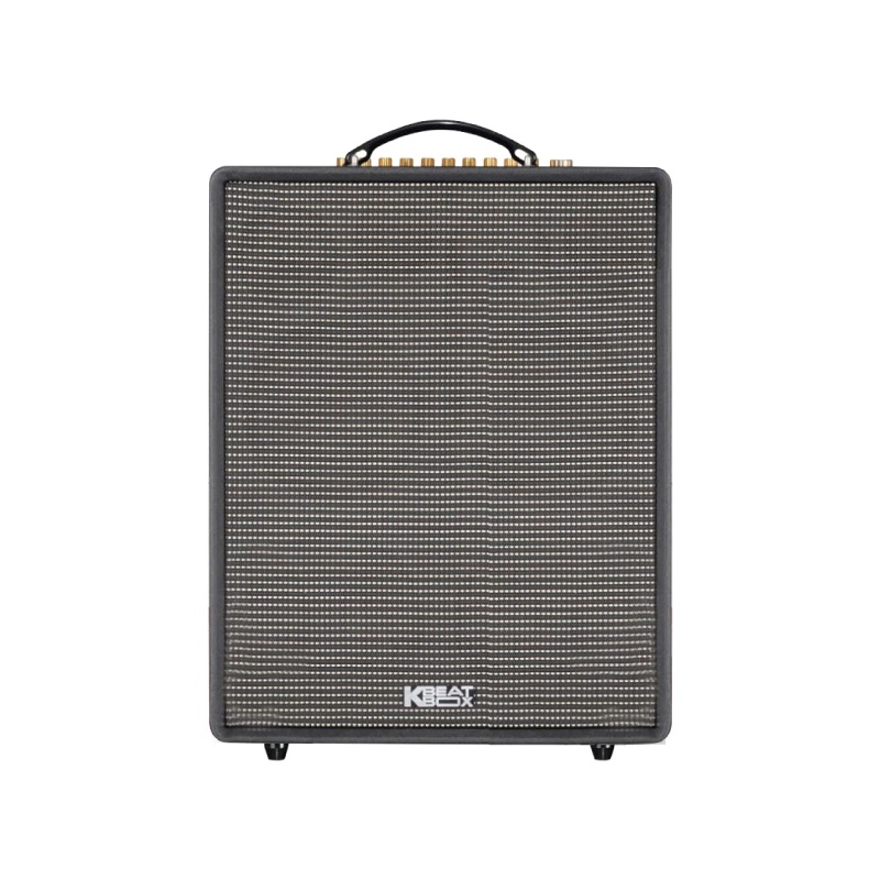 Loa Acnos CS552 Plus